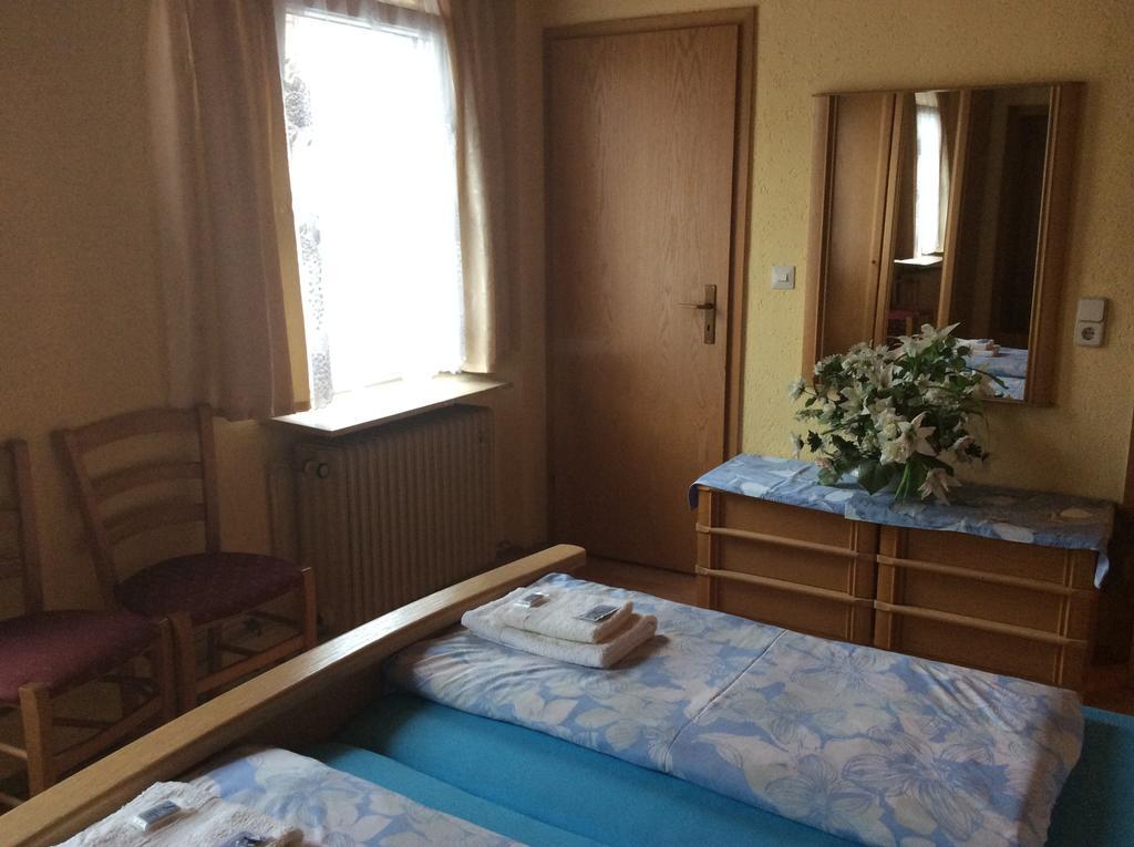 Hotel Drei Koenige ネッカービショフスハイム 部屋 写真