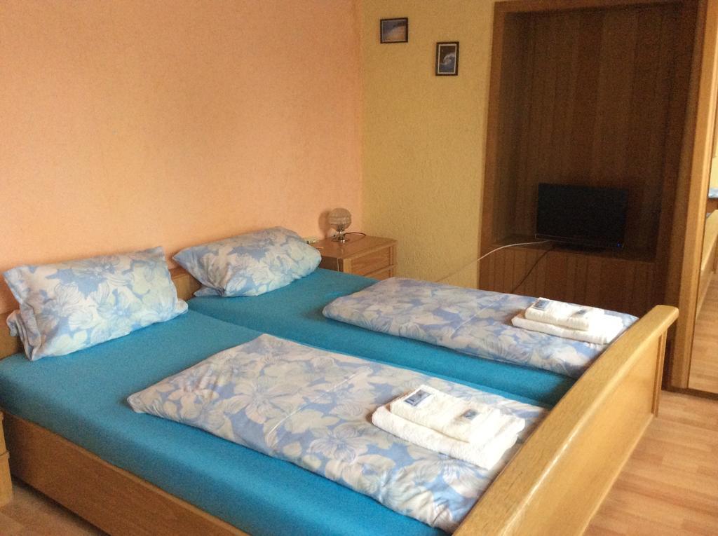 Hotel Drei Koenige ネッカービショフスハイム 部屋 写真