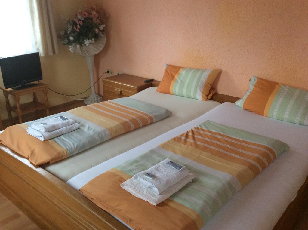 Hotel Drei Koenige ネッカービショフスハイム 部屋 写真